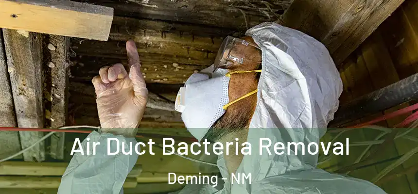  Air Duct Bacteria Removal Deming - NM