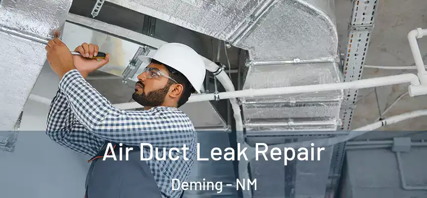  Air Duct Leak Repair Deming - NM
