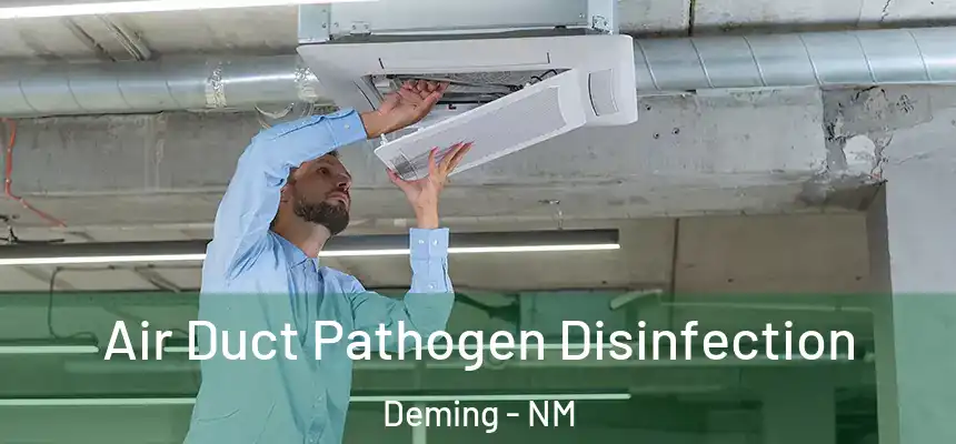  Air Duct Pathogen Disinfection Deming - NM