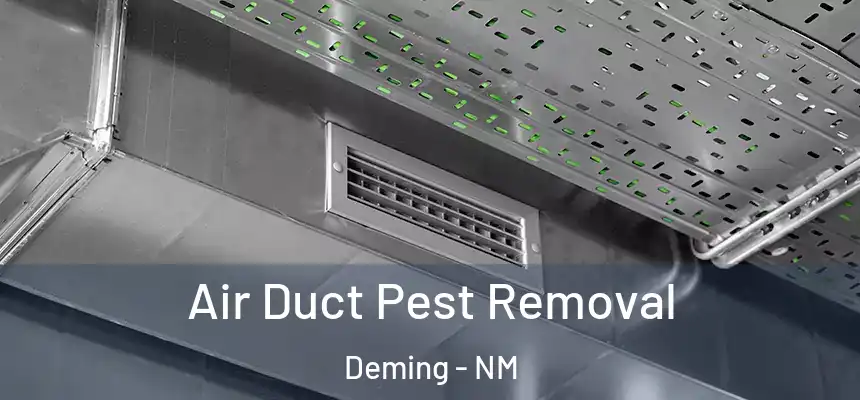  Air Duct Pest Removal Deming - NM
