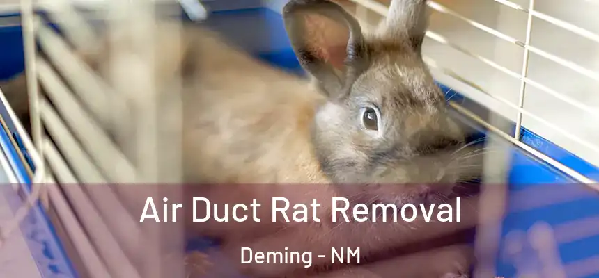  Air Duct Rat Removal Deming - NM
