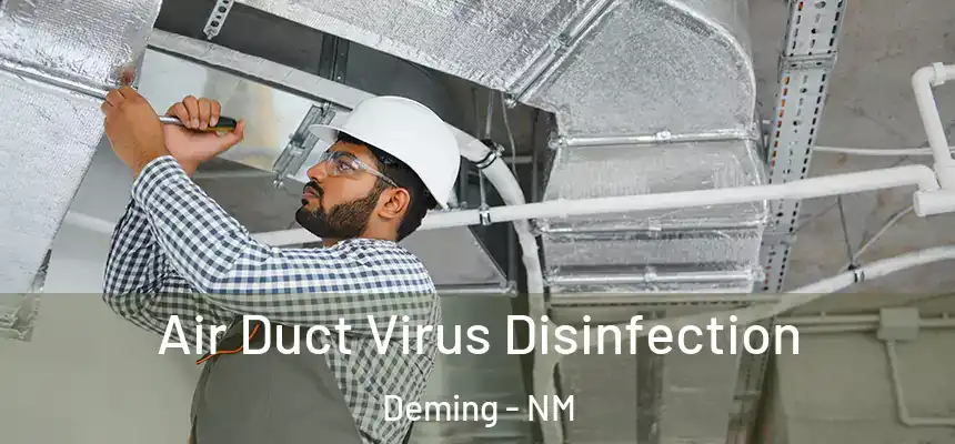  Air Duct Virus Disinfection Deming - NM