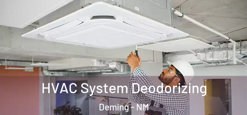  HVAC System Deodorizing Deming - NM