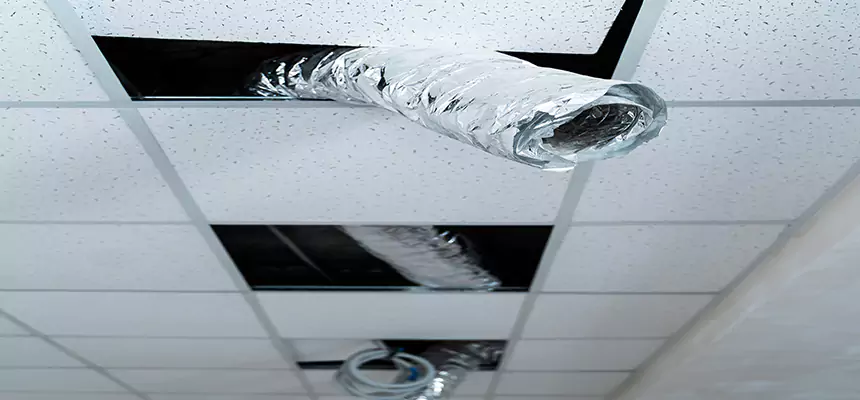 Our Air Duct Pet Hair Removal Services in Deming, NM