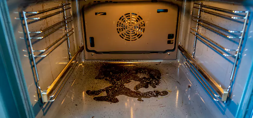 Our Dryer Vent Mold Cleaning Services in Deming, NM