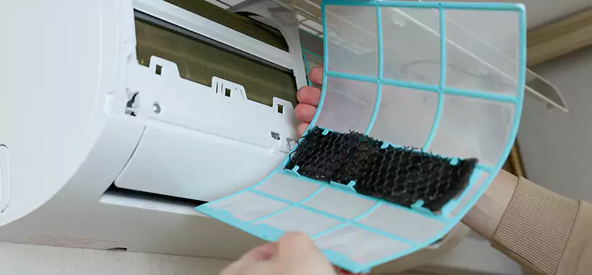 Gentle Ductwork Odor-Control Pet Dander Duct Cleaning in Deming, NM