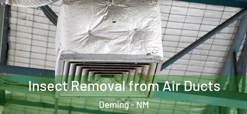  Insect Removal from Air Ducts Deming - NM