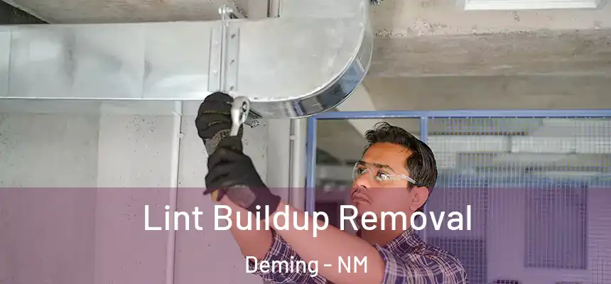  Lint Buildup Removal Deming - NM