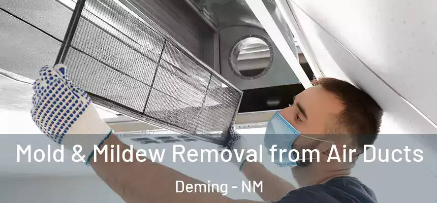  Mold & Mildew Removal from Air Ducts Deming - NM