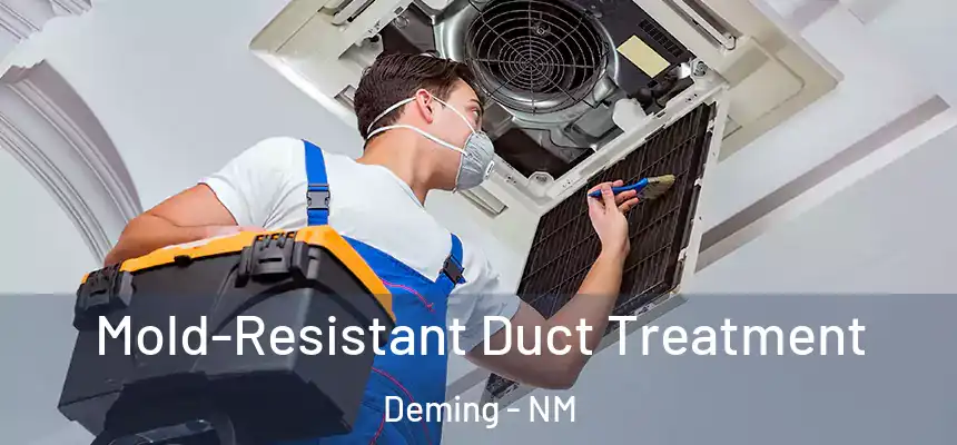  Mold-Resistant Duct Treatment Deming - NM