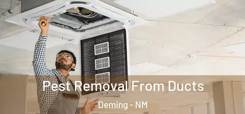  Pest Removal From Ducts Deming - NM