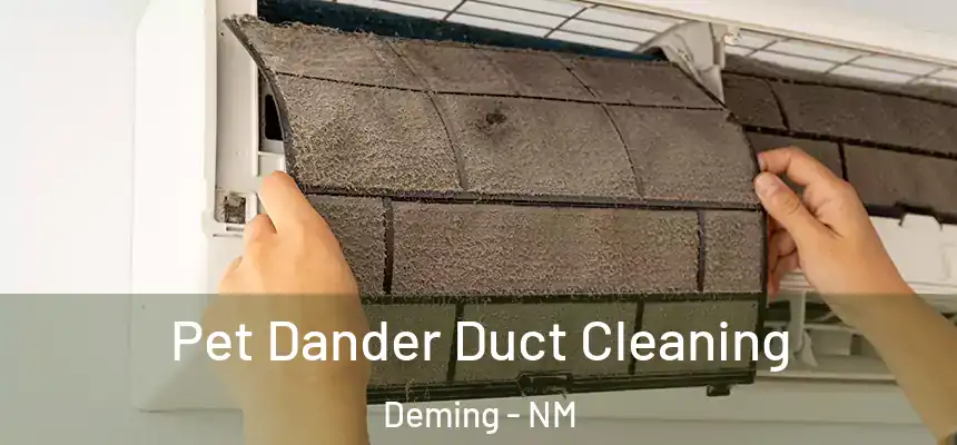  Pet Dander Duct Cleaning Deming - NM