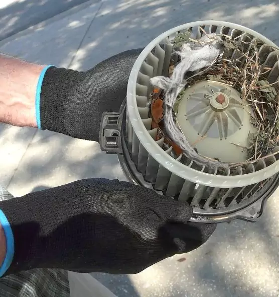 About Air Duct Mice Removal in Deming, NM