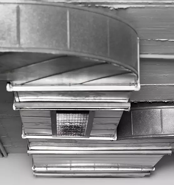 Professional Air Duct Pet Hair Removal in Deming, NM