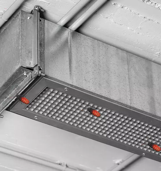 Affordable Insect Removal from Air Ducts in Deming, NM